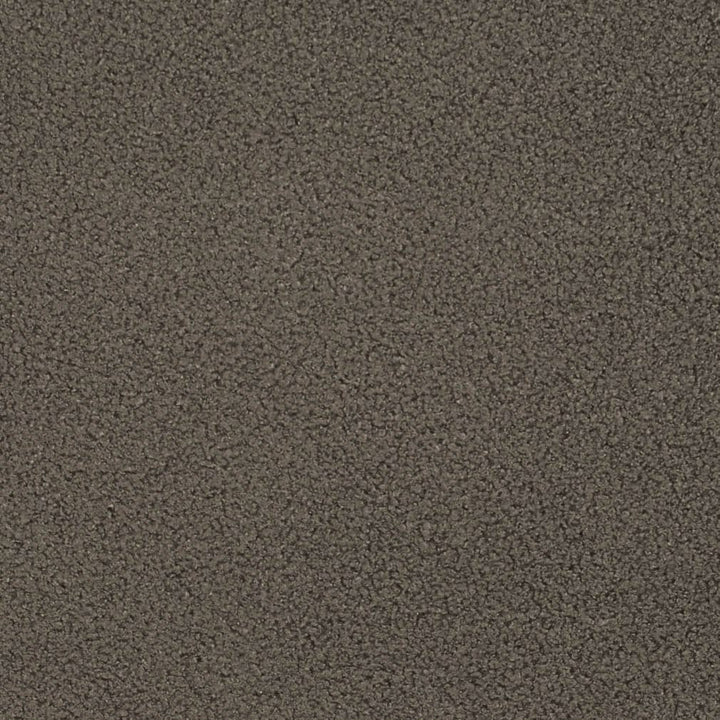 D3614 by Charlotte Designer Fabric Mid Century Modern 100% Polyester Asia Exceeds 80,000 Wyzenbeek Rubs (Heavy Duty) No Repeat 54 Inches - Swanky Fabrics -
