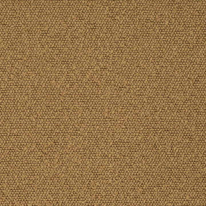 D3627 by Charlotte Designer Fabric Mid Century Modern 100% Polyester Asia Exceeds 60,000 Wyzenbeek Rubs (Heavy Duty) No Repeat 54 Inches - Swanky Fabrics -