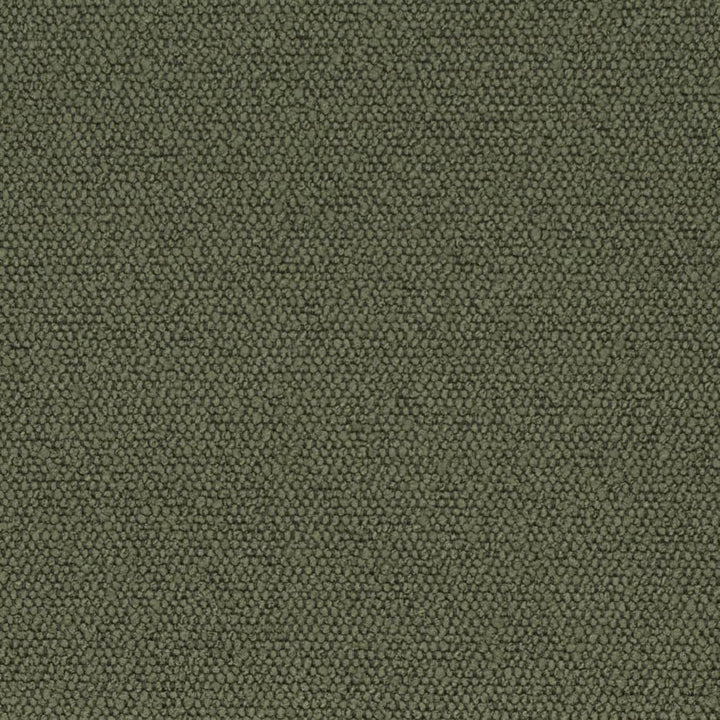 D3628 by Charlotte Designer Fabric Mid Century Modern 100% Polyester Asia Exceeds 60,000 Wyzenbeek Rubs (Heavy Duty) No Repeat 54 Inches - Swanky Fabrics -