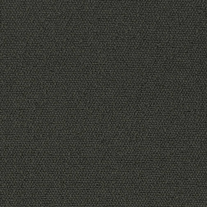D3630 by Charlotte Designer Fabric Mid Century Modern 100% Polyester Asia Exceeds 60,000 Wyzenbeek Rubs (Heavy Duty) No Repeat 54 Inches - Swanky Fabrics -