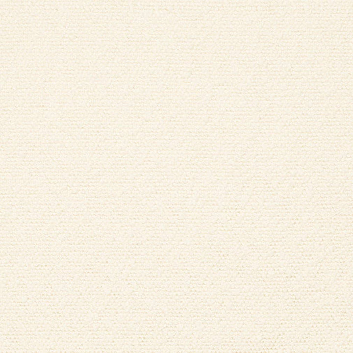 D3637 by Charlotte Designer Fabric Mid Century Modern 100% Polyester Asia Exceeds 60,000 Wyzenbeek Rubs (Heavy Duty) No Repeat 54 Inches - Swanky Fabrics -