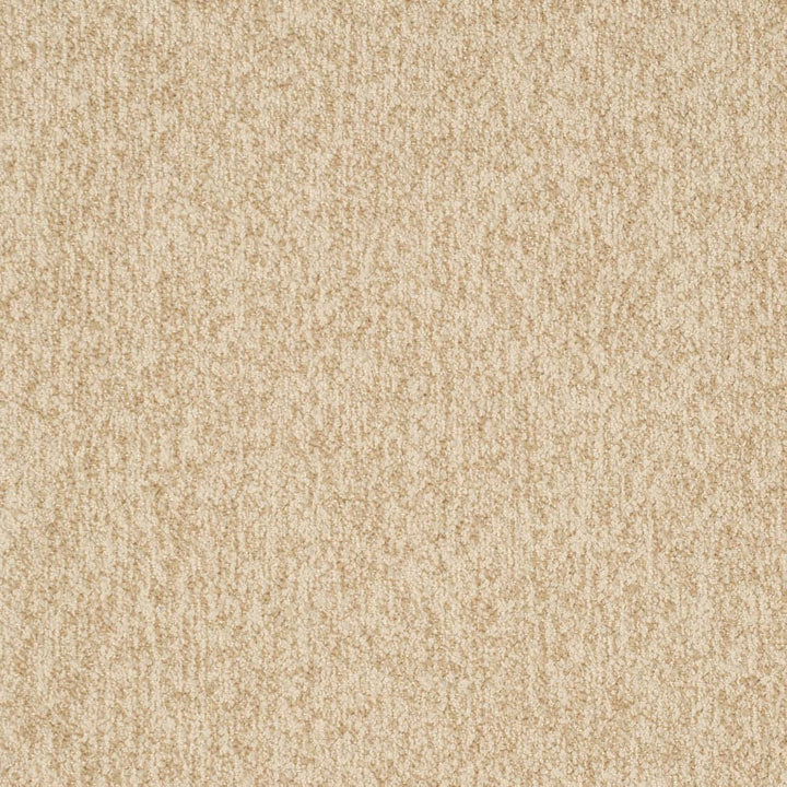 D3653 by Charlotte Designer Fabric Mid Century Modern 100% Polyester USA Exceeds 180,000 Wyzenbeek Rubs (Heavy Duty) No Repeat 54 Inches - Swanky Fabrics -