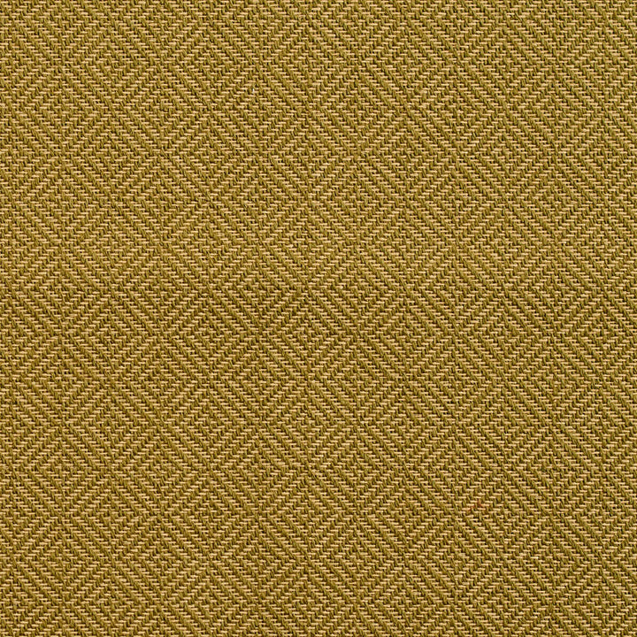 D365 Moss by Charlotte Designer Fabric Crypton Volume 2 73% Cotton, 27% Polyester Made In USA Exceeds 126,000 Wyzenbeek Rubs (Heavy Duty) Horizontal: 1" x Vertical: 1" 54 Inches - Swanky Fabrics -