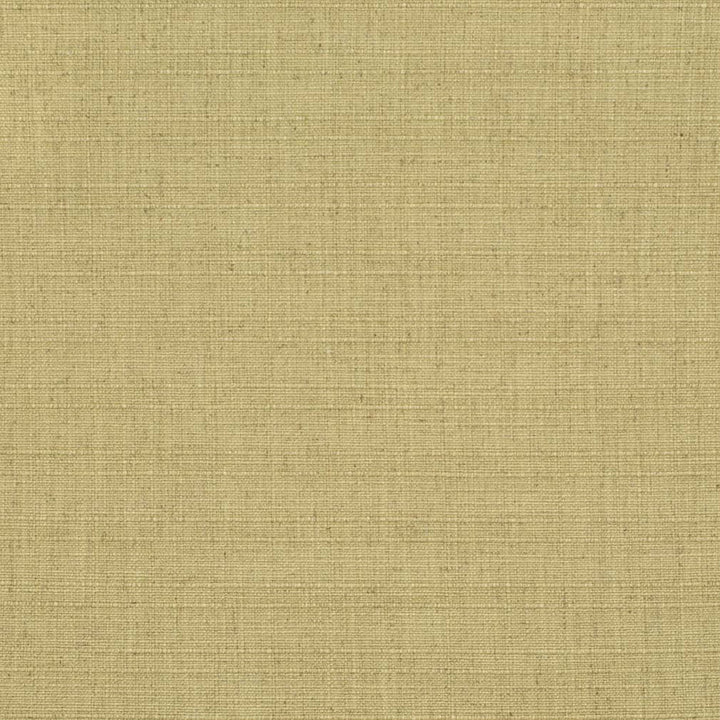 D3680 by Charlotte Designer Fabric Linen Looks 95% Polyester, 5% Linen Asia Exceeds 106,000 Wyzenbeek Rubs (Heavy Duty) No Repeat 54 Inches - Swanky Fabrics -