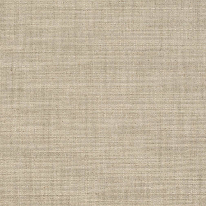 D3685 by Charlotte Designer Fabric Linen Looks 95% Polyester, 5% Linen Asia Exceeds 106,000 Wyzenbeek Rubs (Heavy Duty) No Repeat 54 Inches - Swanky Fabrics -
