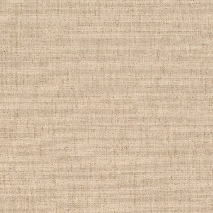 D3688 by Charlotte Designer Fabric Linen Looks 95% Polyester, 5% Linen Asia Exceeds 106,000 Wyzenbeek Rubs (Heavy Duty) No Repeat 54 Inches - Swanky Fabrics -