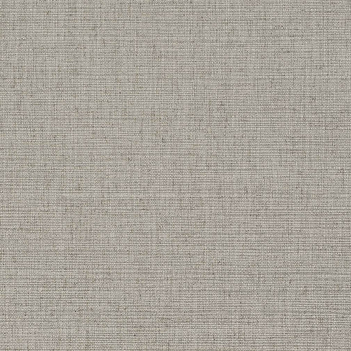 D3689 by Charlotte Designer Fabric Linen Looks 95% Polyester, 5% Linen Asia Exceeds 106,000 Wyzenbeek Rubs (Heavy Duty) No Repeat 54 Inches - Swanky Fabrics -