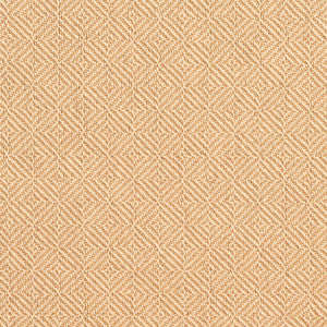 D368 Gold by Charlotte Designer Fabric