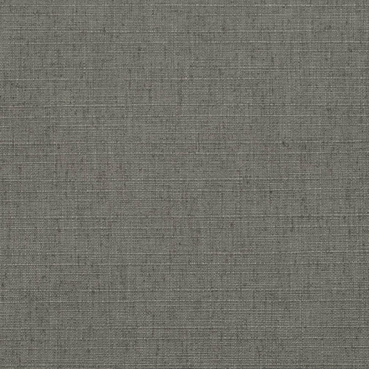D3691 by Charlotte Designer Fabric Linen Looks 95% Polyester, 5% Linen Asia Exceeds 106,000 Wyzenbeek Rubs (Heavy Duty) No Repeat 54 Inches - Swanky Fabrics -