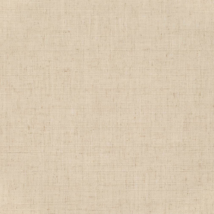 D3693 by Charlotte Designer Fabric Linen Looks 95% Polyester, 5% Linen Asia Exceeds 106,000 Wyzenbeek Rubs (Heavy Duty) No Repeat 54 Inches - Swanky Fabrics -