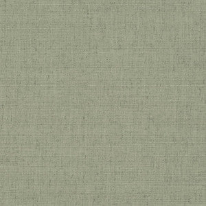 D3698 by Charlotte Designer Fabric