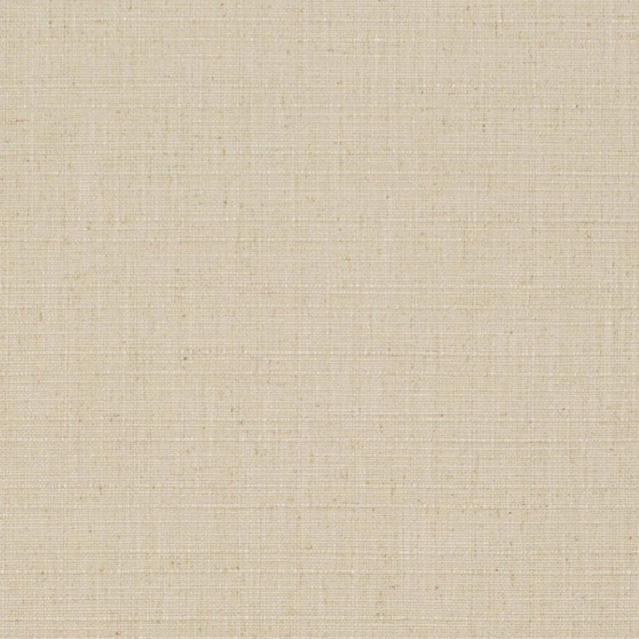 D3704 by Charlotte Designer Fabric Linen Looks 95% Polyester, 5% Linen Asia Exceeds 106,000 Wyzenbeek Rubs (Heavy Duty) No Repeat 54 Inches - Swanky Fabrics -