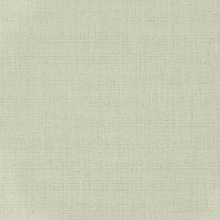 D3709 by Charlotte Designer Fabric Linen Looks 95% Polyester, 5% Linen Asia Exceeds 106,000 Wyzenbeek Rubs (Heavy Duty) No Repeat 54 Inches - Swanky Fabrics -
