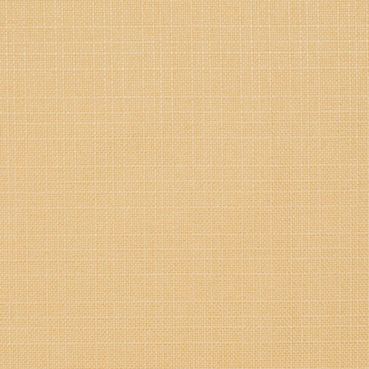 D3715 by Charlotte Designer Fabric Linen Looks 100% Polyester Asia Exceeds 120,000 Wyzenbeek Rubs (Heavy Duty) No Repeat 54 Inches - Swanky Fabrics -
