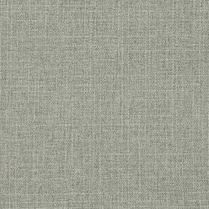 D3716 by Charlotte Designer Fabric