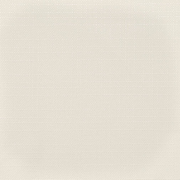 D3720 by Charlotte Designer Fabric Linen Looks 100% Polyester Asia Exceeds 120,000 Wyzenbeek Rubs (Heavy Duty) No Repeat 54 Inches - Swanky Fabrics -