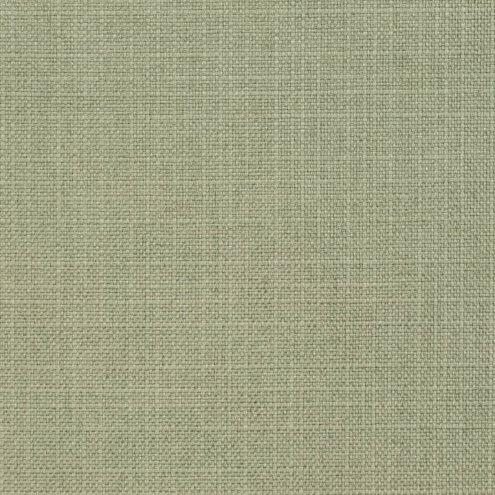 D3738 by Charlotte Designer Fabric Linen Looks 100% Polyester Asia Exceeds 120,000 Wyzenbeek Rubs (Heavy Duty) No Repeat 54 Inches - Swanky Fabrics -