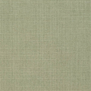 D3738 by Charlotte Designer Fabric