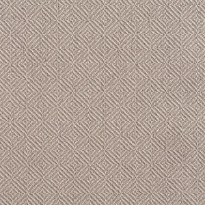D373 Grey by Charlotte Designer Fabric