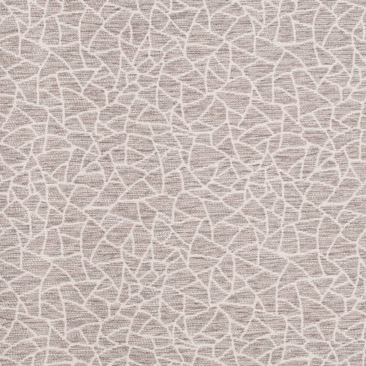 D3751 by Charlotte Designer Fabric Untamed Textures 72% Olefin, 28% Polyester USA Exceeds 60,000 Wyzenbeek Rubs (Heavy Duty) Horizontal 14" x Vertical 12.5" 54 Inches - Swanky Fabrics -