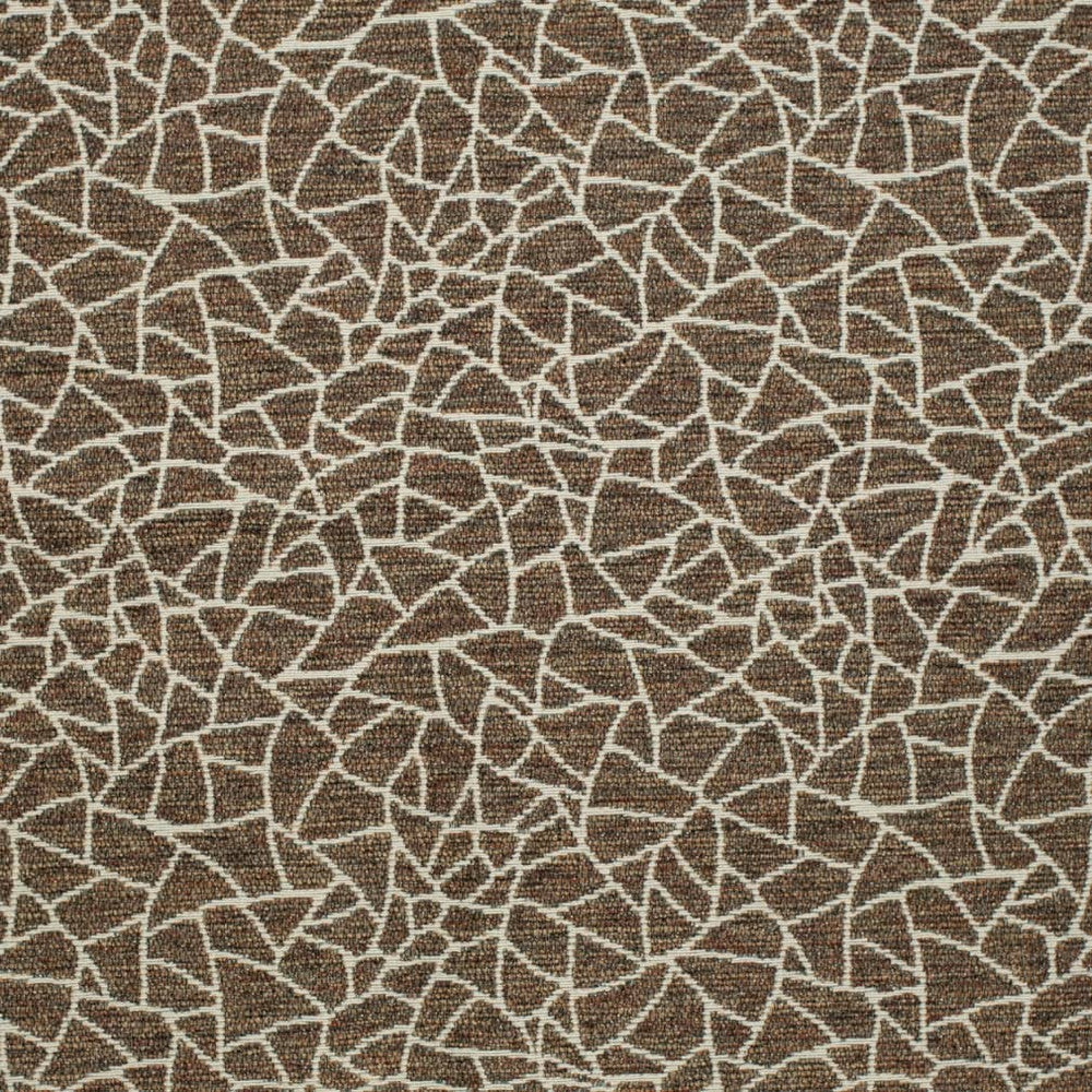 D3752 by Charlotte Designer Fabric Untamed Textures 72% Olefin, 28% Polyester USA Exceeds 60,000 Wyzenbeek Rubs (Heavy Duty) Horizontal 14" x Vertical 12.5" 54 Inches - Swanky Fabrics -