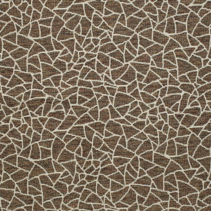 D3752 by Charlotte Designer Fabric Untamed Textures 72% Olefin, 28% Polyester USA Exceeds 60,000 Wyzenbeek Rubs (Heavy Duty) Horizontal 14" x Vertical 12.5" 54 Inches - Swanky Fabrics -