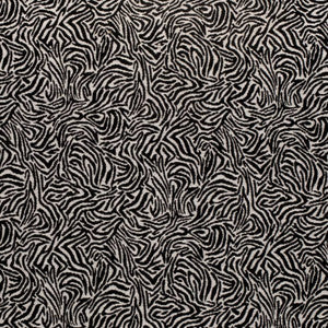 D3770 by Charlotte Designer Fabric