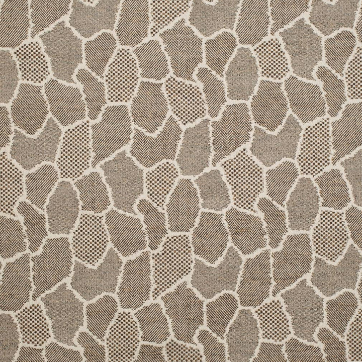 D3782 by Charlotte Designer Fabric Untamed Textures 100% Polyester Asia Exceeds 132,000 Wyzenbeek Rubs (Heavy Duty) Horizontal 14.5" x Vertical 16" 54 Inches - Swanky Fabrics -