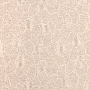 D3783 by Charlotte Designer Fabric