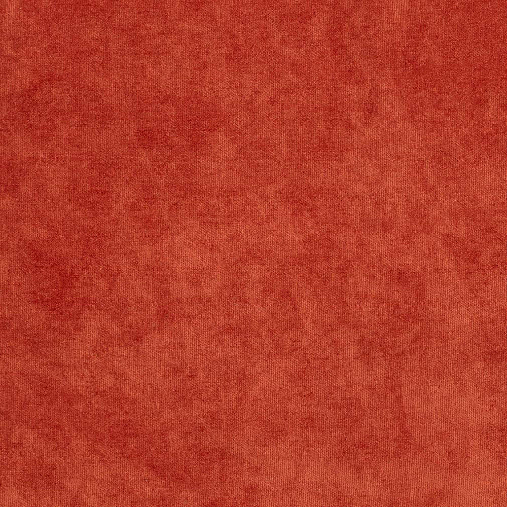 D3819 by Charlotte Designer Fabric Classic Velvet II 90% Polyester, 10% Nylon Asia Exceeds 240,000 Wyzenbeek Rubs (Heavy Duty) No Repeat 54 Inches - Swanky Fabrics -