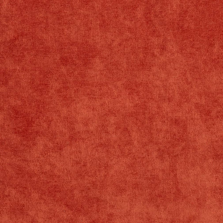 D3819 by Charlotte Designer Fabric Classic Velvet II 90% Polyester, 10% Nylon Asia Exceeds 240,000 Wyzenbeek Rubs (Heavy Duty) No Repeat 54 Inches - Swanky Fabrics -