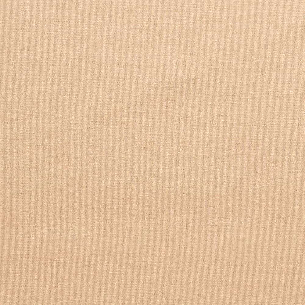 D3822 by Charlotte Designer Fabric Classic Velvet II 90% Polyester, 10% Nylon Asia Exceeds 240,000 Wyzenbeek Rubs (Heavy Duty) No Repeat 54 Inches - Swanky Fabrics -
