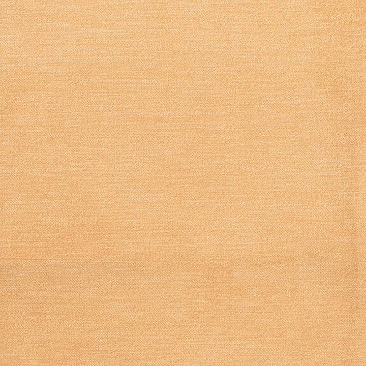 D3830 by Charlotte Designer Fabric Classic Velvet II 90% Polyester, 10% Nylon Asia Exceeds 240,000 Wyzenbeek Rubs (Heavy Duty) No Repeat 54 Inches - Swanky Fabrics -