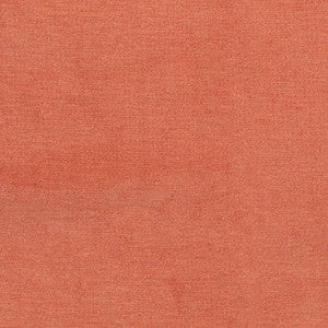 D3831 by Charlotte Designer Fabric