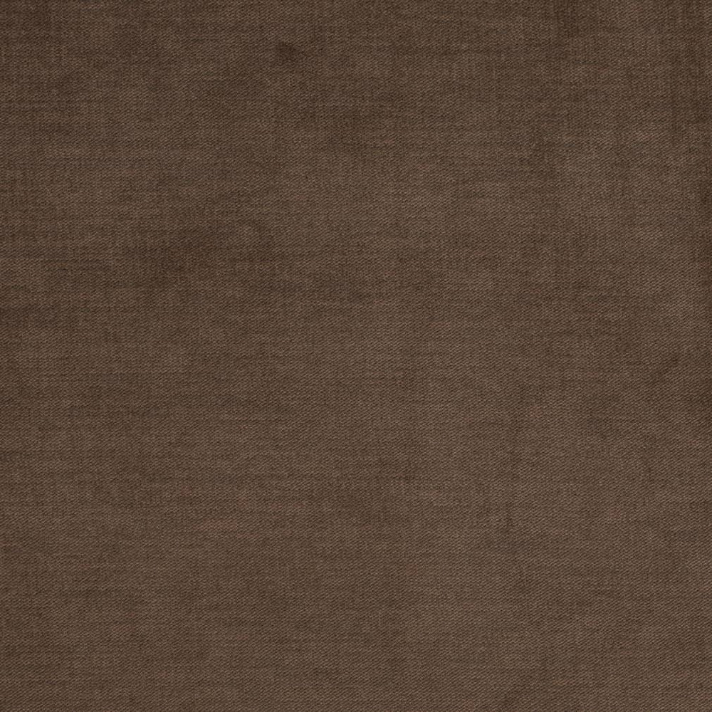 D3832 by Charlotte Designer Fabric Classic Velvet II 90% Polyester, 10% Nylon Asia Exceeds 240,000 Wyzenbeek Rubs (Heavy Duty) No Repeat 54 Inches - Swanky Fabrics -
