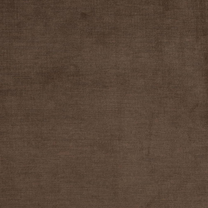D3832 by Charlotte Designer Fabric Classic Velvet II 90% Polyester, 10% Nylon Asia Exceeds 240,000 Wyzenbeek Rubs (Heavy Duty) No Repeat 54 Inches - Swanky Fabrics -