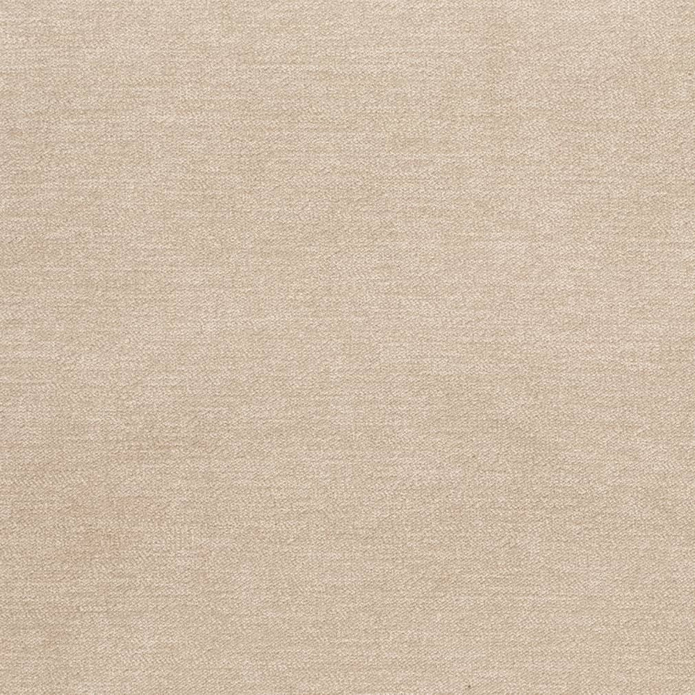 D3835 by Charlotte Designer Fabric Classic Velvet II 90% Polyester, 10% Nylon Asia Exceeds 240,000 Wyzenbeek Rubs (Heavy Duty) No Repeat 54 Inches - Swanky Fabrics -
