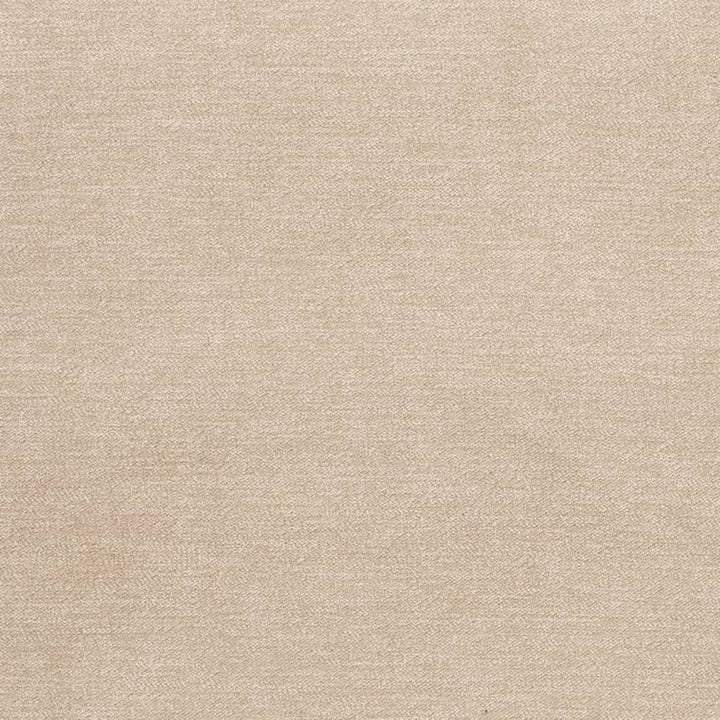 D3835 by Charlotte Designer Fabric Classic Velvet II 90% Polyester, 10% Nylon Asia Exceeds 240,000 Wyzenbeek Rubs (Heavy Duty) No Repeat 54 Inches - Swanky Fabrics -