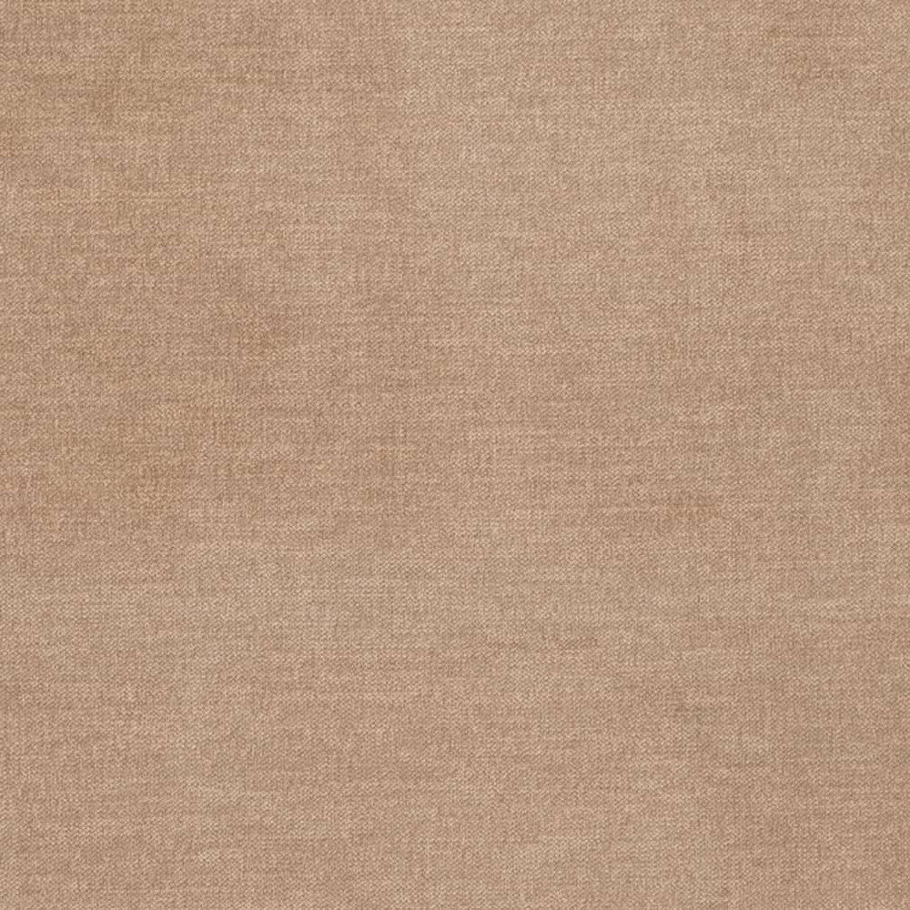D3836 by Charlotte Designer Fabric Classic Velvet II 90% Polyester, 10% Nylon Asia Exceeds 240,000 Wyzenbeek Rubs (Heavy Duty) No Repeat 54 Inches - Swanky Fabrics -
