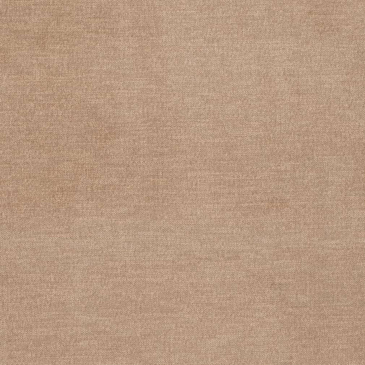 D3836 by Charlotte Designer Fabric Classic Velvet II 90% Polyester, 10% Nylon Asia Exceeds 240,000 Wyzenbeek Rubs (Heavy Duty) No Repeat 54 Inches - Swanky Fabrics -
