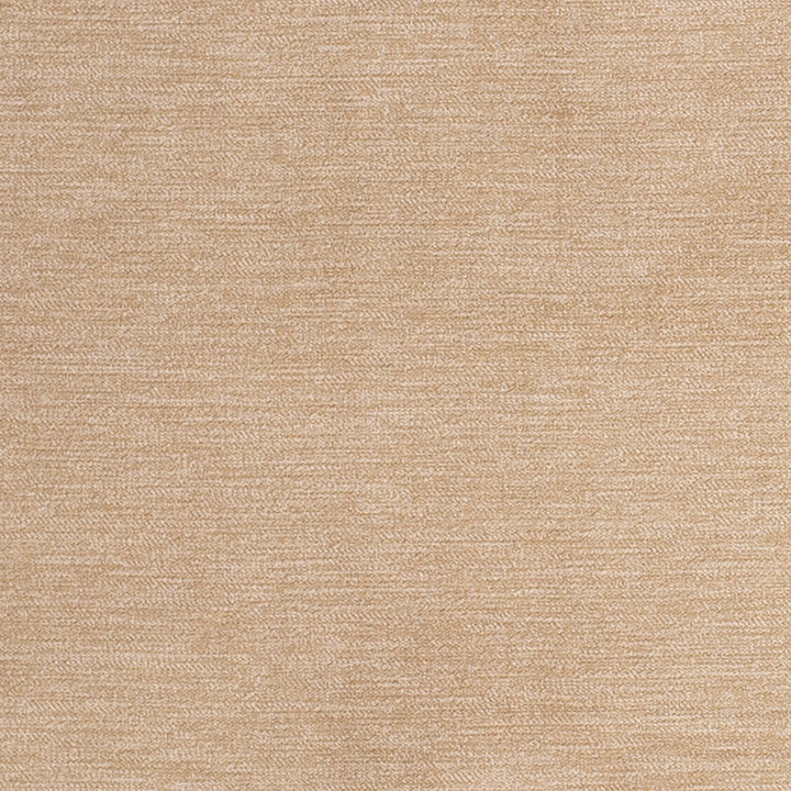 D3840 by Charlotte Designer Fabric Classic Velvet II 90% Polyester, 10% Nylon Asia Exceeds 240,000 Wyzenbeek Rubs (Heavy Duty) No Repeat 54 Inches - Swanky Fabrics -
