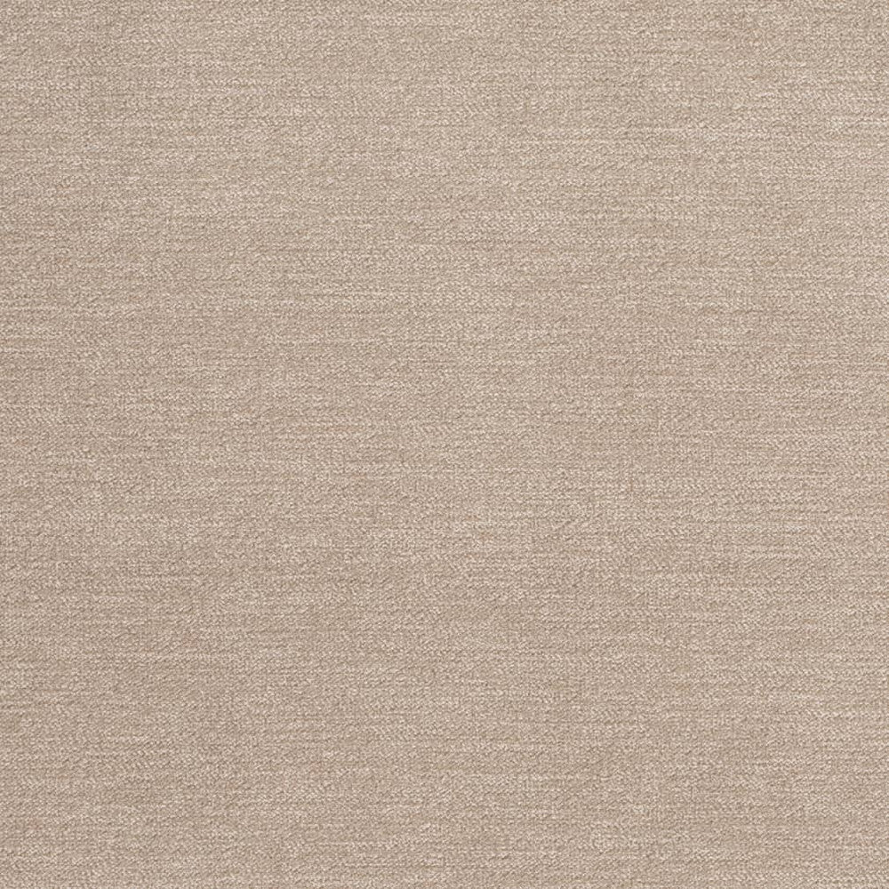 D3845 by Charlotte Designer Fabric Classic Velvet II 90% Polyester, 10% Nylon Asia Exceeds 240,000 Wyzenbeek Rubs (Heavy Duty) No Repeat 54 Inches - Swanky Fabrics -