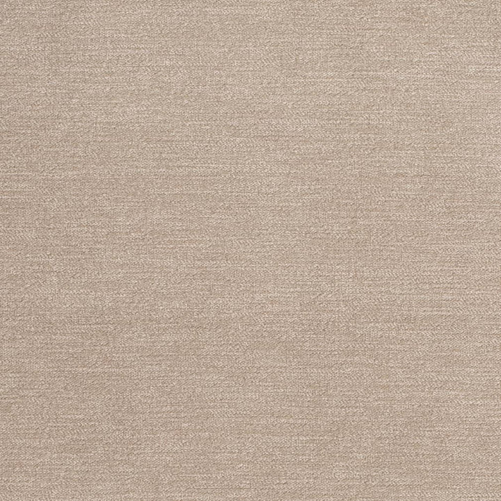D3845 by Charlotte Designer Fabric Classic Velvet II 90% Polyester, 10% Nylon Asia Exceeds 240,000 Wyzenbeek Rubs (Heavy Duty) No Repeat 54 Inches - Swanky Fabrics -