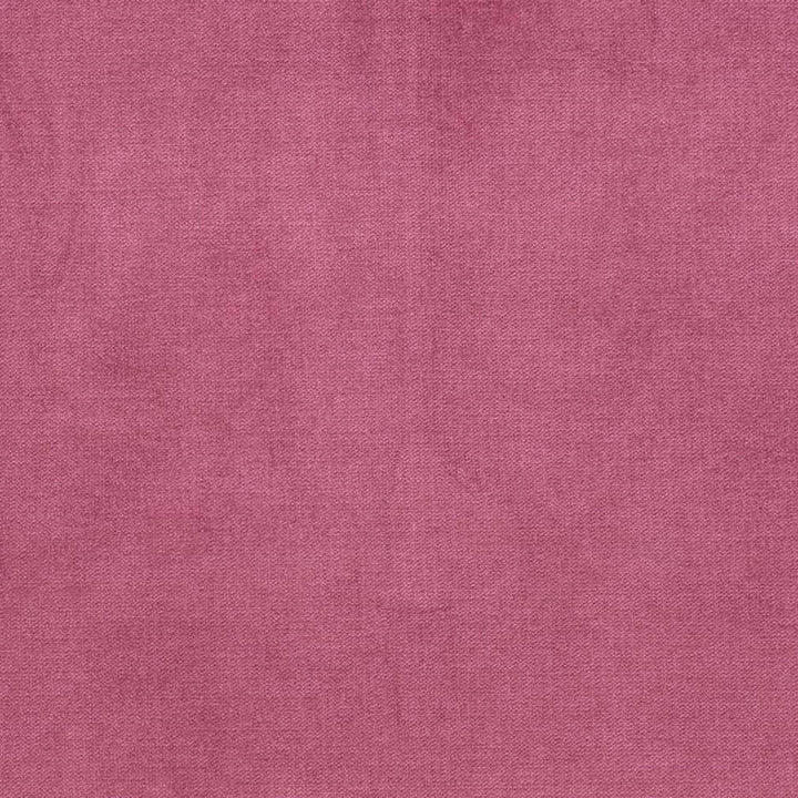 D3849 by Charlotte Designer Fabric Classic Velvet II 90% Polyester, 10% Nylon Asia Exceeds 240,000 Wyzenbeek Rubs (Heavy Duty) No Repeat 54 Inches - Swanky Fabrics -
