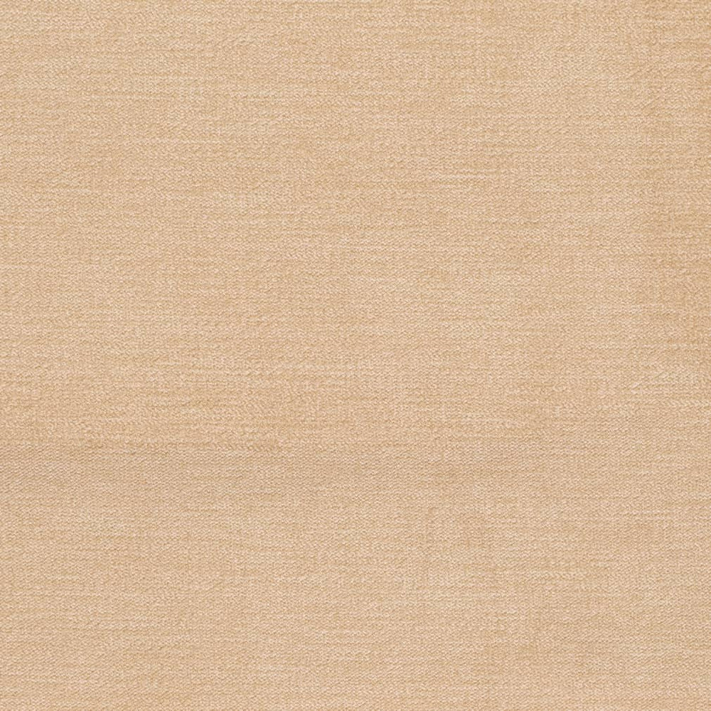 D3853 by Charlotte Designer Fabric Classic Velvet II 90% Polyester, 10% Nylon Asia Exceeds 240,000 Wyzenbeek Rubs (Heavy Duty) No Repeat 54 Inches - Swanky Fabrics -
