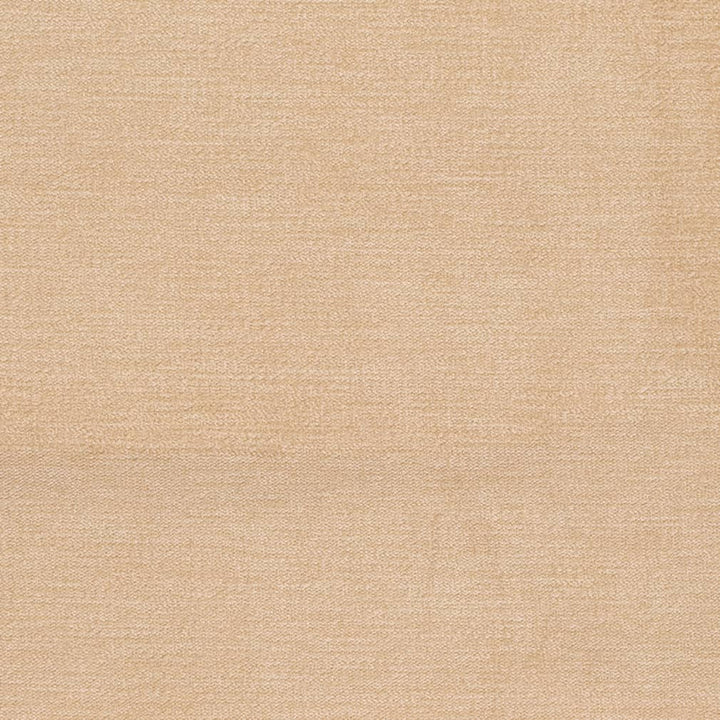D3853 by Charlotte Designer Fabric Classic Velvet II 90% Polyester, 10% Nylon Asia Exceeds 240,000 Wyzenbeek Rubs (Heavy Duty) No Repeat 54 Inches - Swanky Fabrics -