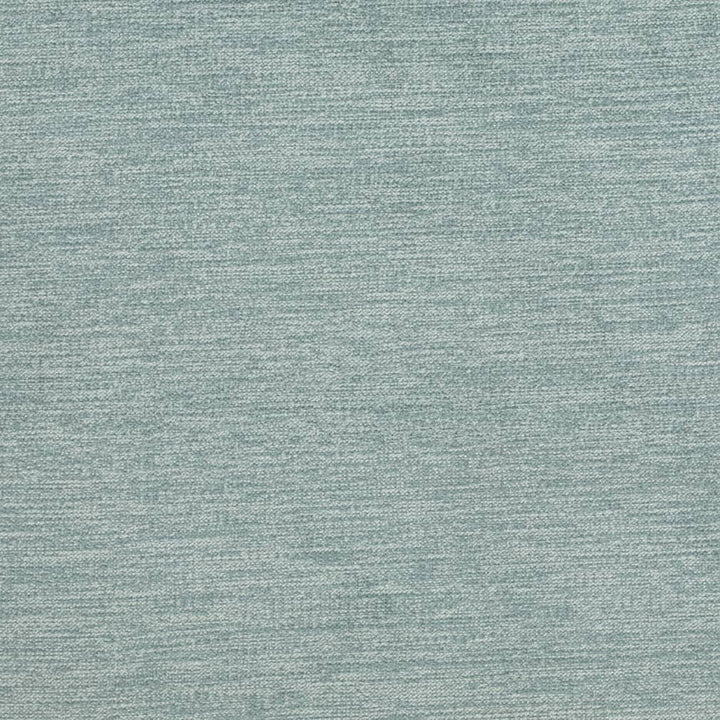 D3856 by Charlotte Designer Fabric Classic Velvet II 90% Polyester, 10% Nylon Asia Exceeds 240,000 Wyzenbeek Rubs (Heavy Duty) No Repeat 54 Inches - Swanky Fabrics -