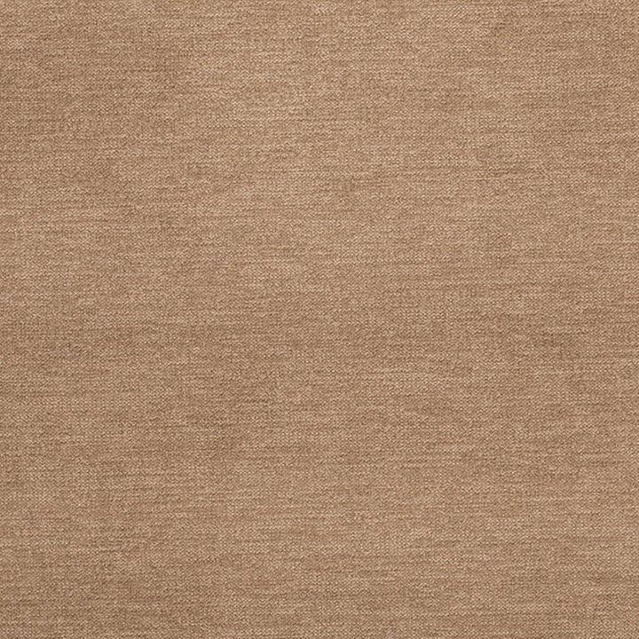 D3857 by Charlotte Designer Fabric Classic Velvet II 90% Polyester, 10% Nylon Asia Exceeds 240,000 Wyzenbeek Rubs (Heavy Duty) No Repeat 54 Inches - Swanky Fabrics -