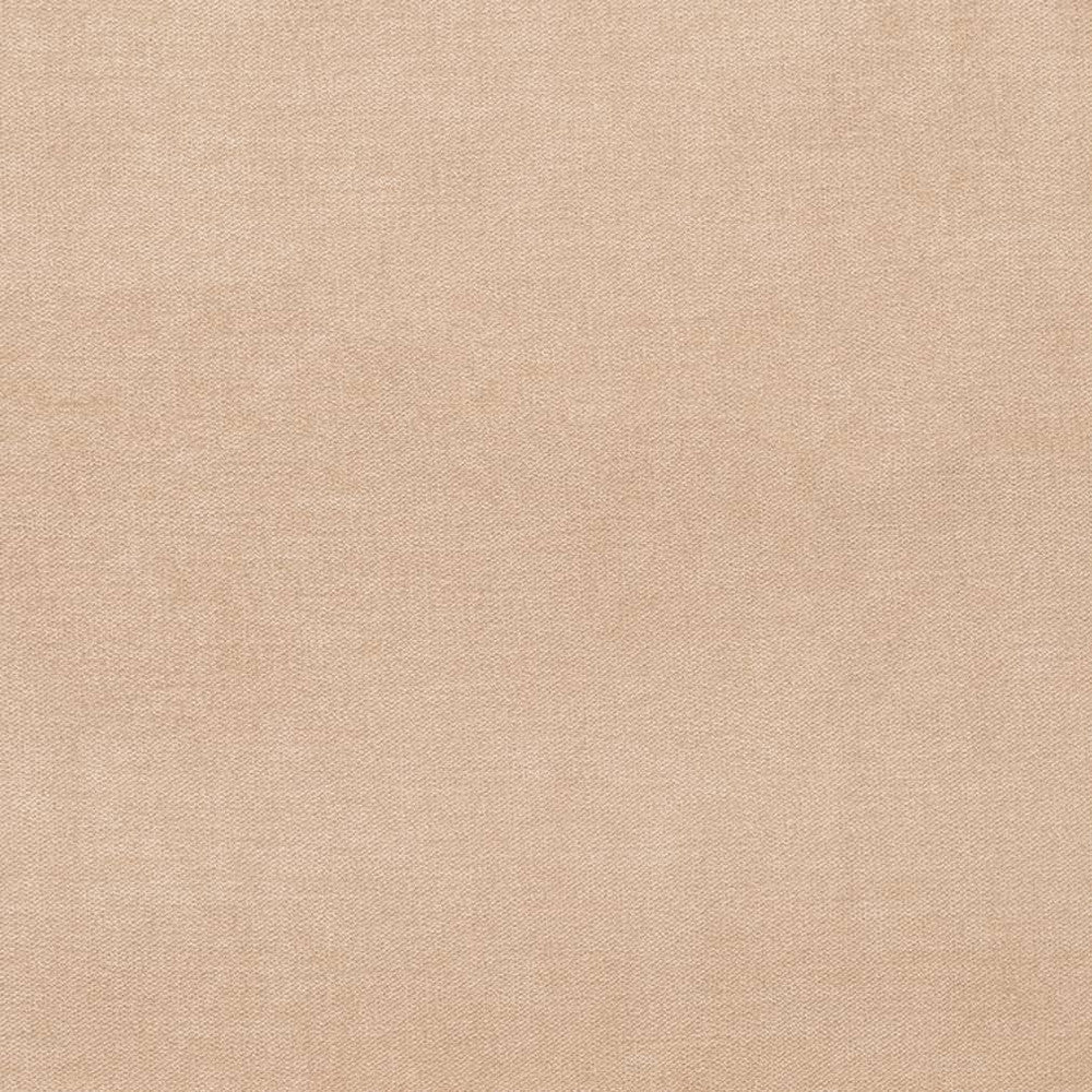 D3860 by Charlotte Designer Fabric Classic Velvet II 90% Polyester, 10% Nylon Asia Exceeds 240,000 Wyzenbeek Rubs (Heavy Duty) No Repeat 54 Inches - Swanky Fabrics -
