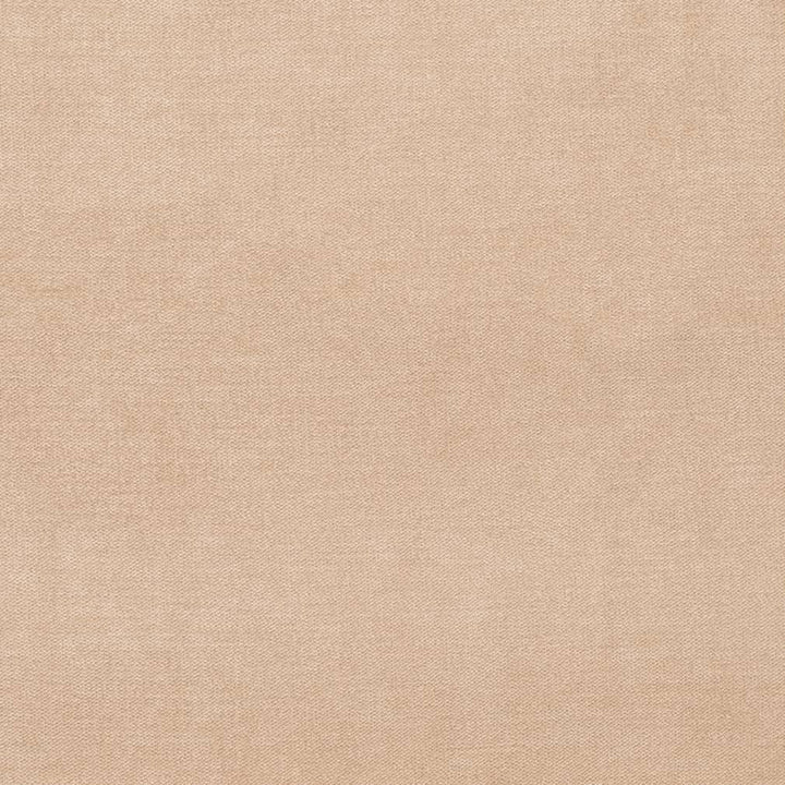 D3860 by Charlotte Designer Fabric Classic Velvet II 90% Polyester, 10% Nylon Asia Exceeds 240,000 Wyzenbeek Rubs (Heavy Duty) No Repeat 54 Inches - Swanky Fabrics -